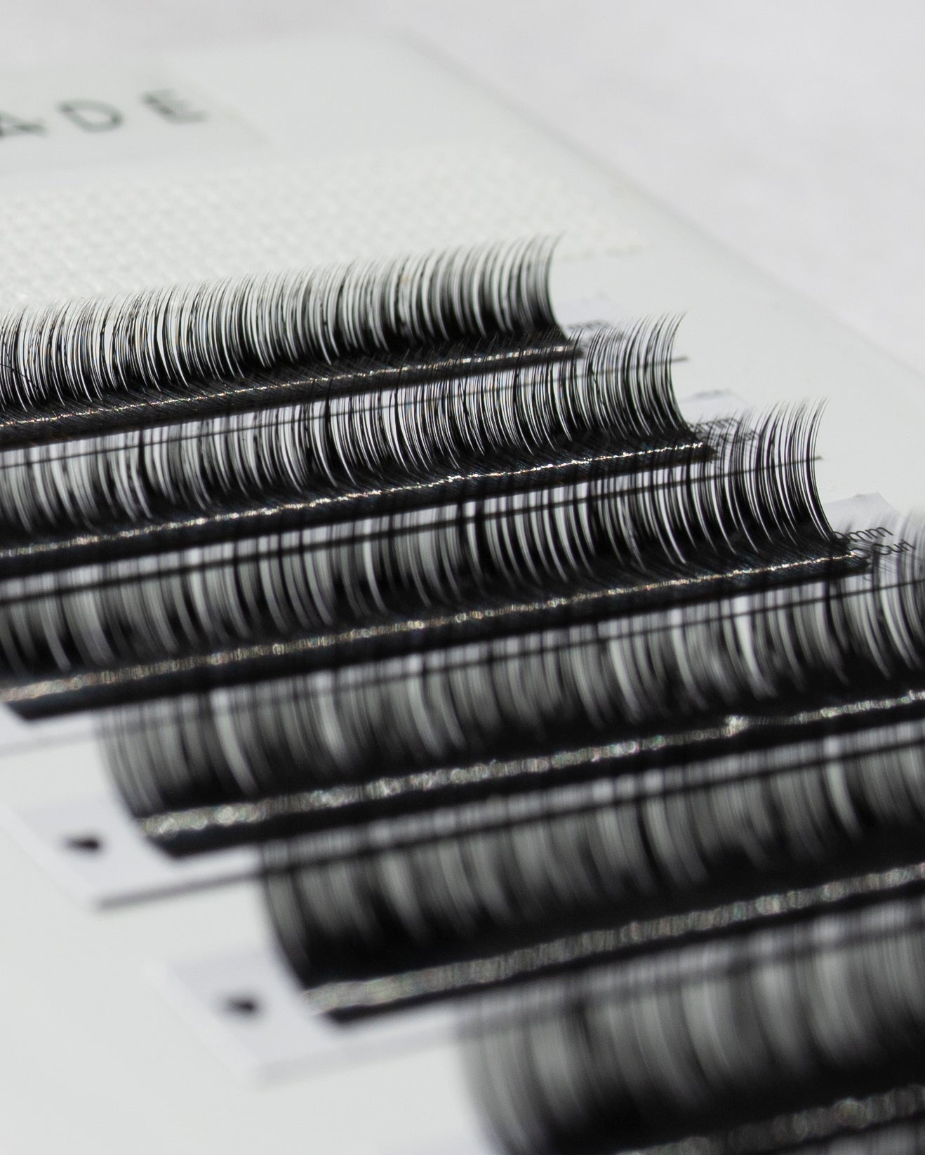 Russian Volume Lash Trays (12 rows)